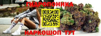 a pvp Малгобек
